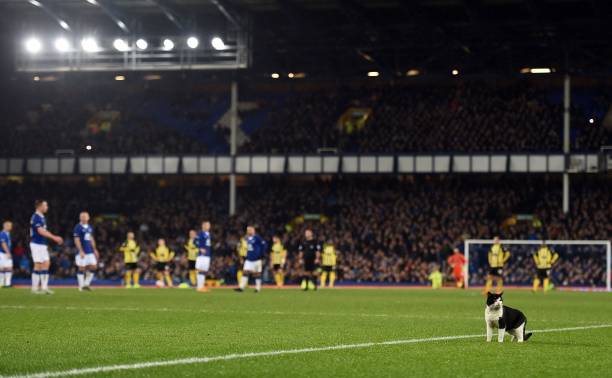 曼联梦剧场迎哈兰德?索帅或重启转会谈判