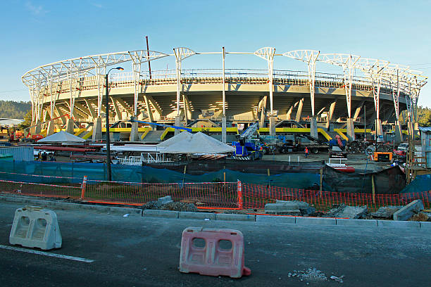 马拉多纳:一代球王的激情与荣耀