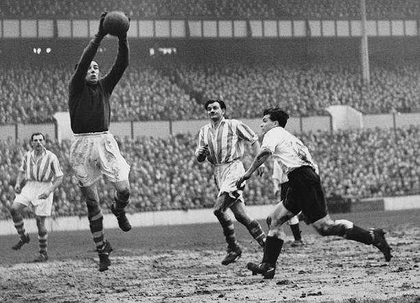 最新国际足联排名：哪个国家荣登世界第一？