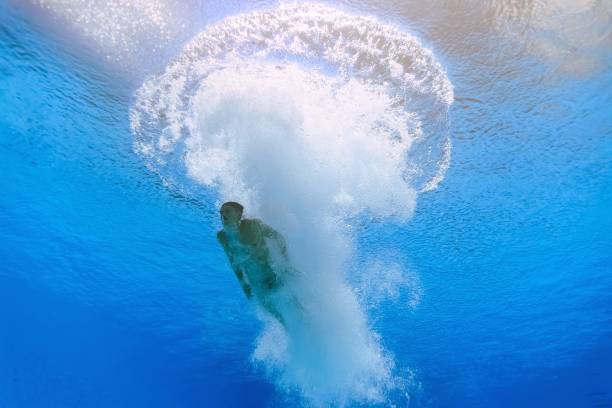 苏炳添暨南大学公开课：顶级运动员的成功心法与训练技巧