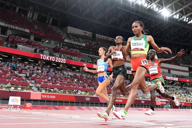 跳水比赛项目安排:哪些比赛还在后面?