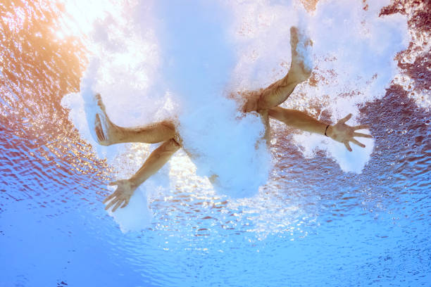 郭晶晶的职务探索:从运动员到社会活动家的转变