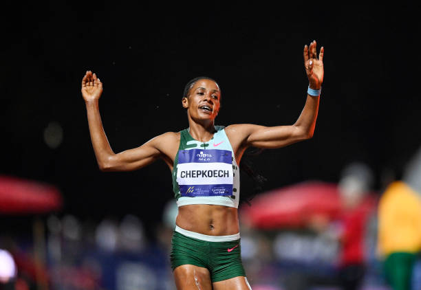 力与美的结合:吴敏霞跳水摄影作品集