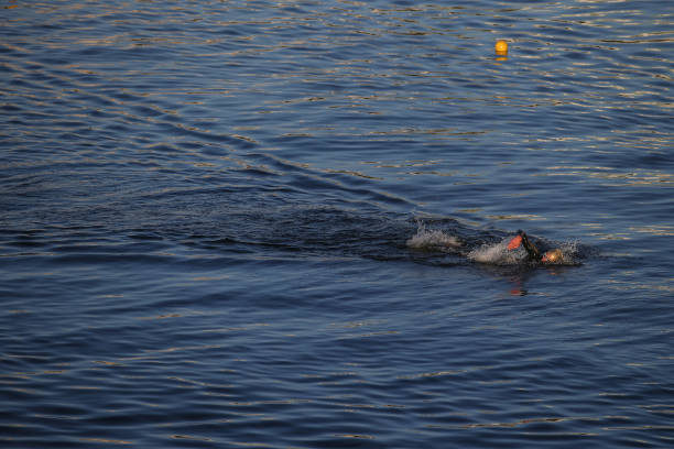 游泳减肥真的有效吗？科学解析游泳的燃脂效果