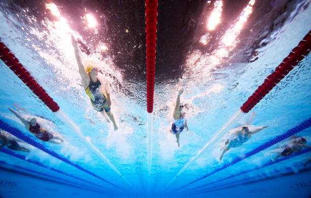 奥运冠军教练教你蛙泳腿部动作的正确发力方式