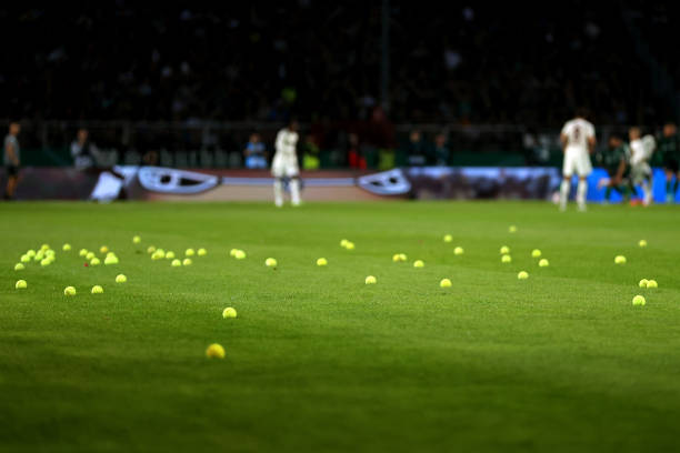 2024法网前瞻：纳达尔能否在罗兰·加洛斯再创辉煌？