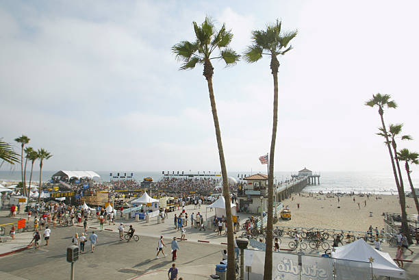 如何根据FIVB标准设置排球场地：尺寸与设备要求